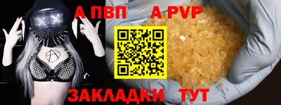 крисы Славгород