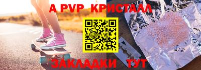 крисы Славгород