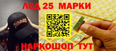 крисы Славгород