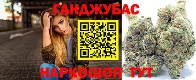 крисы Славгород