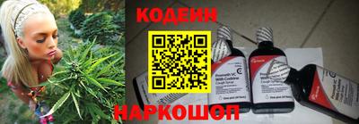 крисы Славгород