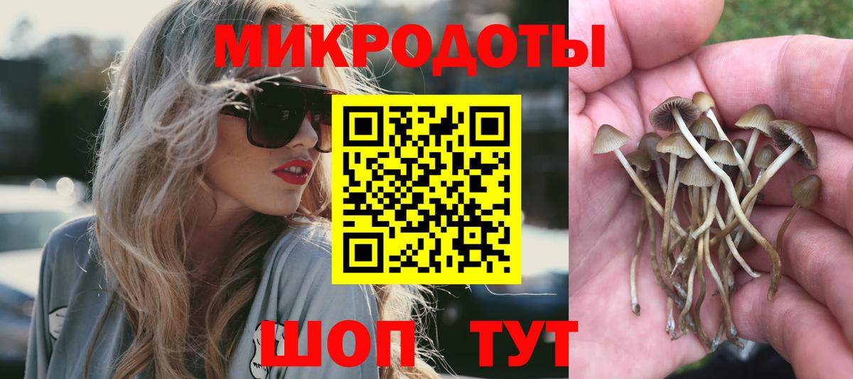 Псилоцибиновые грибы Psilocybe  Вход с VPN  Псилоцибиновые грибы мицелий  Саров 